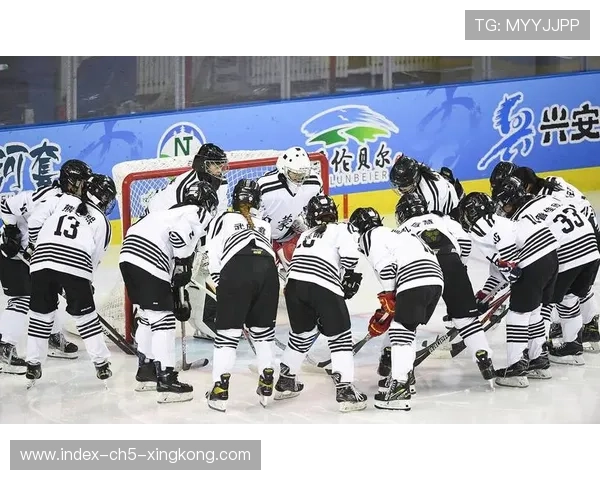 冰球年轻球员承担关键角色，未来可期