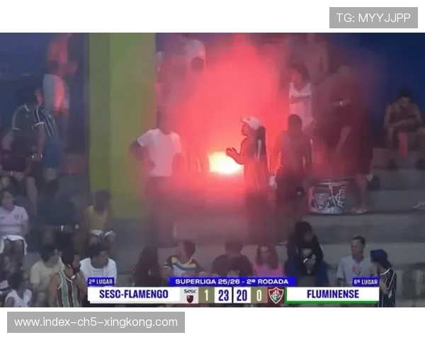 球迷冲进场围堵裁判，比赛被迫中断